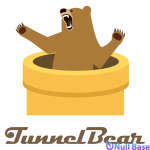 Tunnelbear-VPN-Logo-1170x1170-1.png